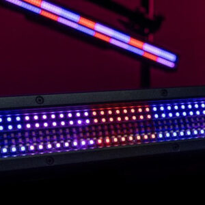 Blacklight